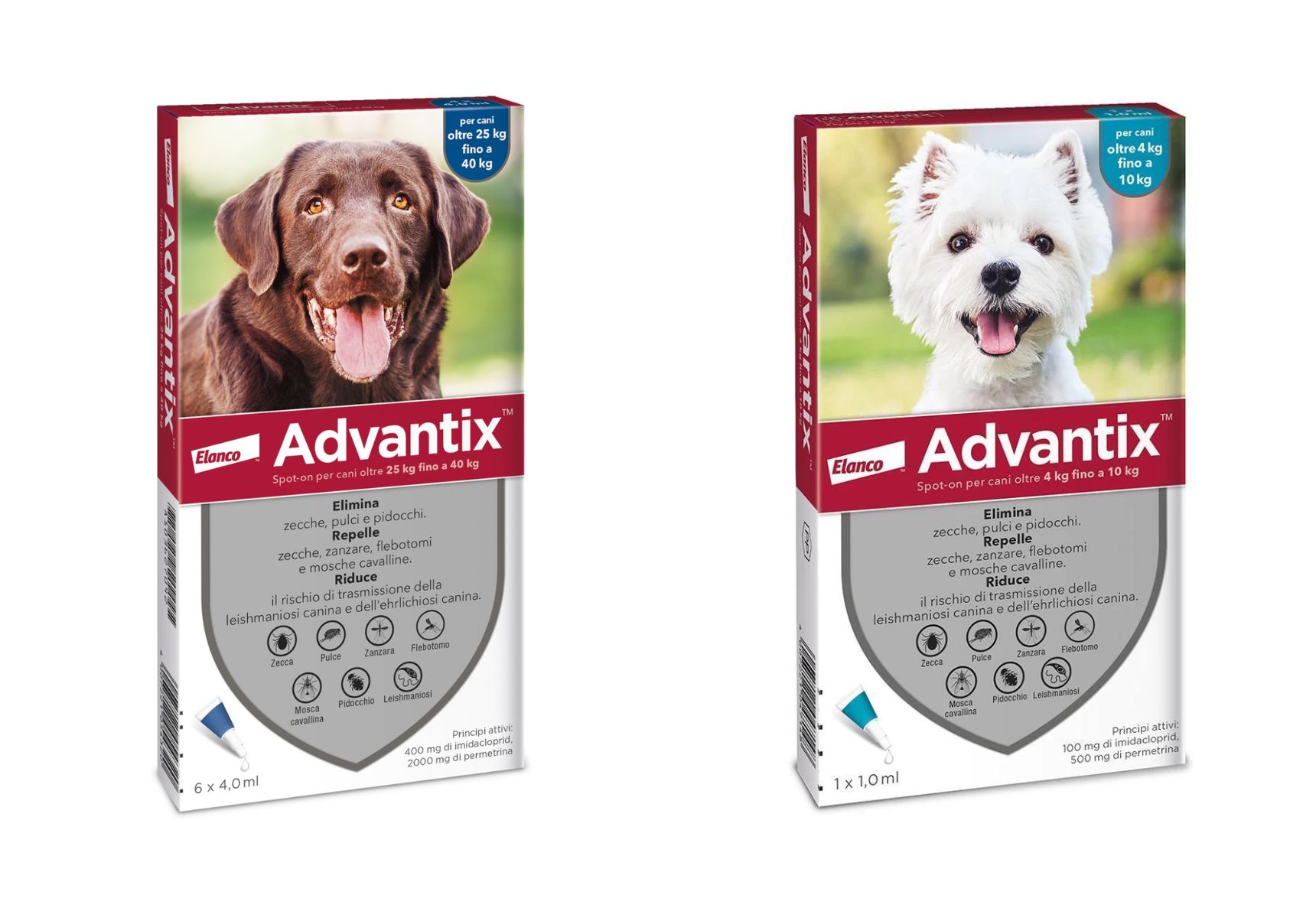 Advantix antiparassitario per cani