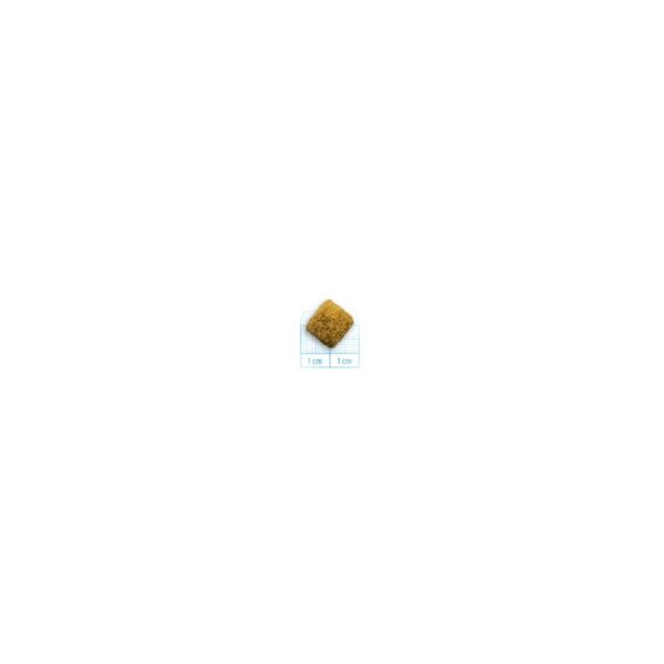 20023259