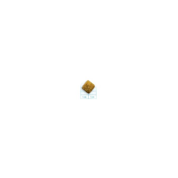 20095093