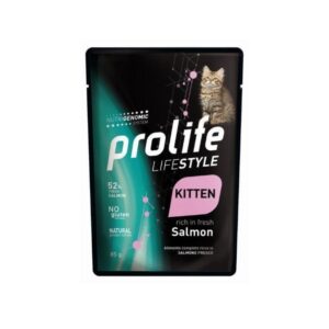 21197831