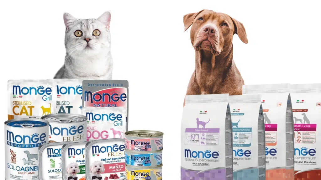 Crocchette e cibo umido Monge cane e gatto recensioni e opinioni