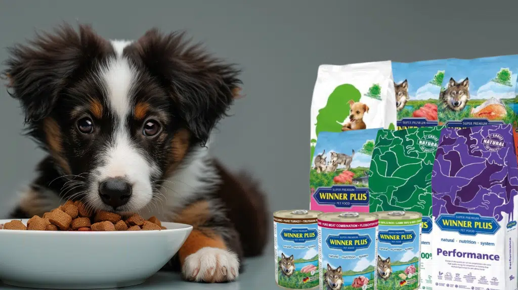 Winner Plus opinioni e recensioni holistic, puppy e light
