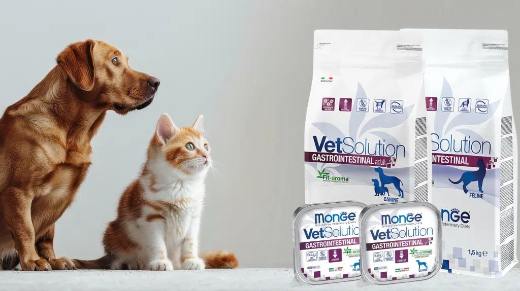 Monge Gastrointestinal recensioni su crocchette e umido per cane e gatto