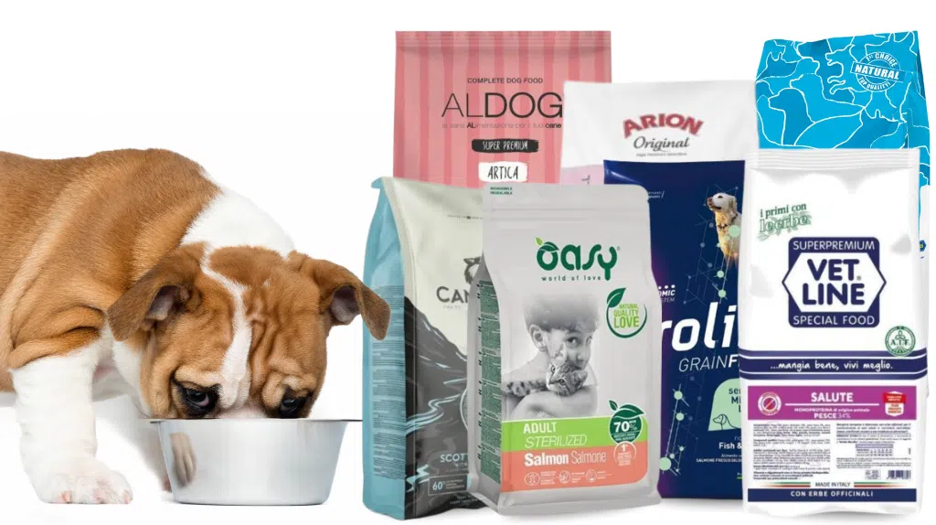 Opinioni e migliori crocchette al salmone per cani