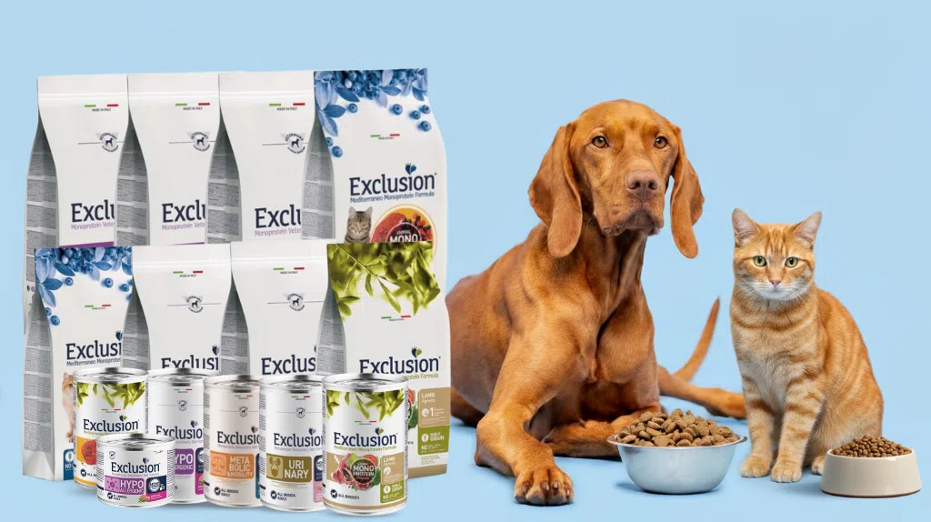 Exclusion crocchette opinioni e recensioni