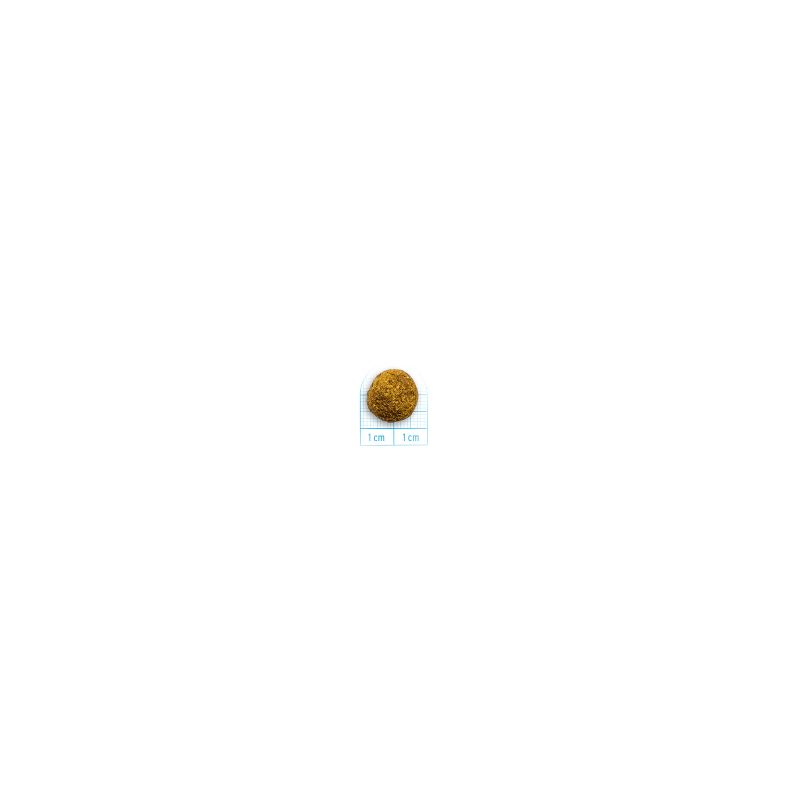 32587292