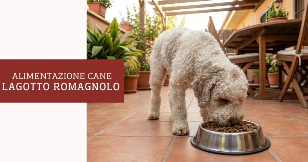 Alimentazione Lagotto Romagnolo
