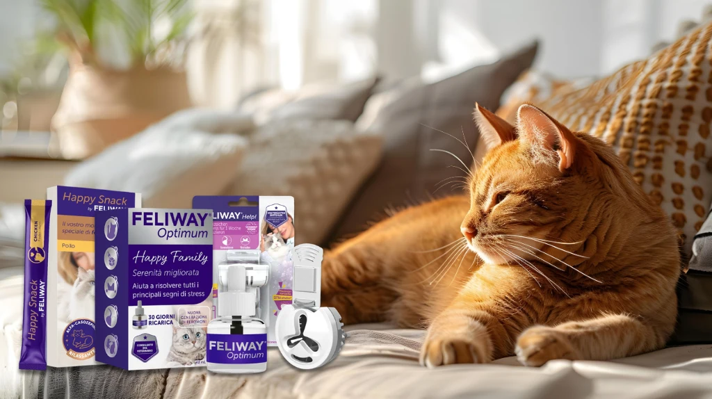 Feliway recensioni e opinioni funziona per il benessere del gatto