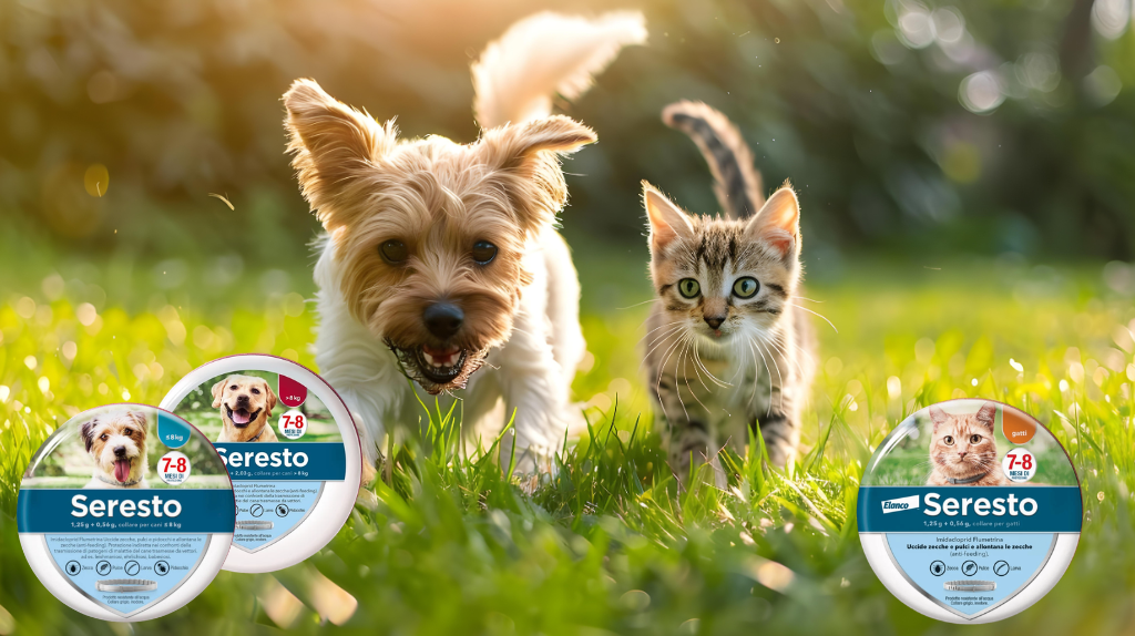 Cane e gatto che corrono in un prato indossando il collare antiparassitario Seresto